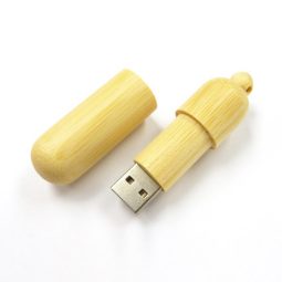 WD024 USB DRIVE