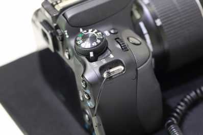 dreamstime_xxl_45116579