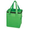 #CM 3563 Non-Woven Sierra Kooler Bag