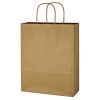#CM 3902 Kraft Paper Brown Shopping Bag - 10" x 13"
