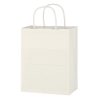 #CM 3911 Kraft Paper White Shopping Bag - 8" x 10-1/4"