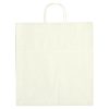 #CM 3915 Kraft Paper White Shopping Bag - 14" x 15"